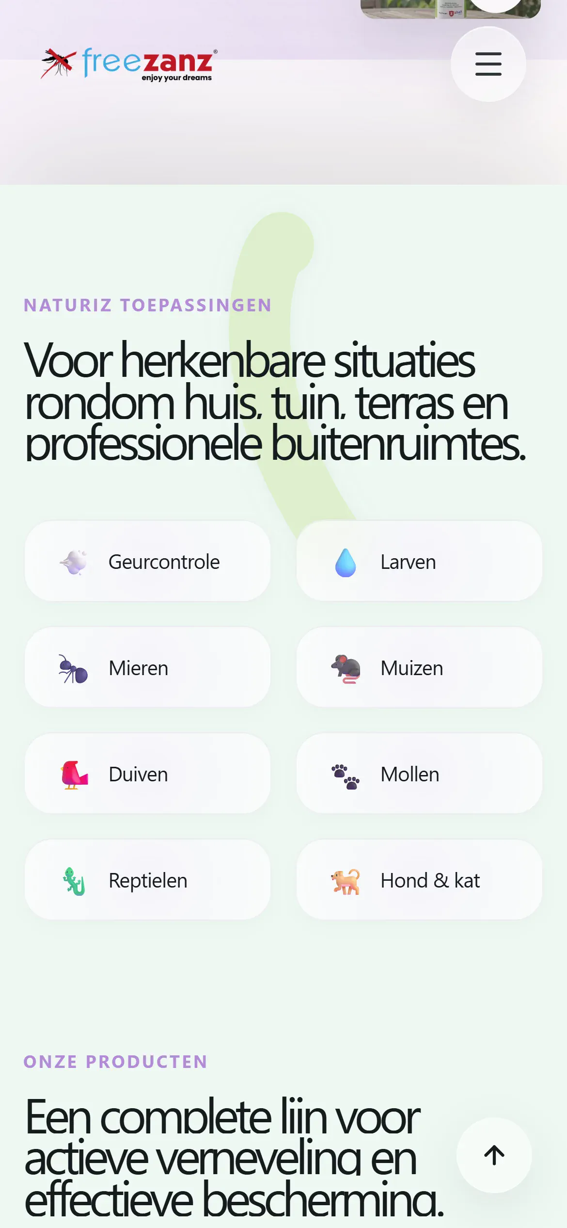 Freezanz projectbeeld 4